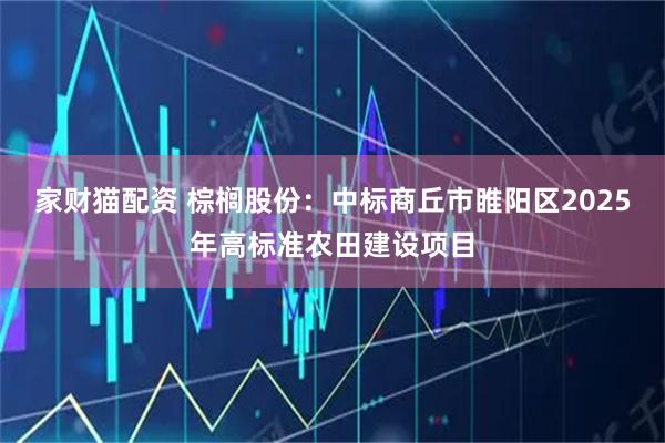 家财猫配资 棕榈股份：中标商丘市睢阳区2025年高标准农田建设项目