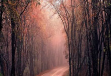 散户多的股票怎么样:股票可以加杠杆的平台-北交所设立四周年 总市值超9200亿 公司数超270家